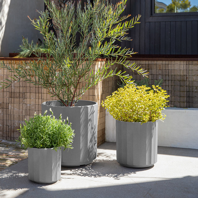 column planter trio