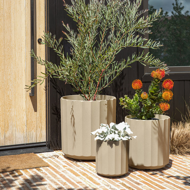 column planter trio
