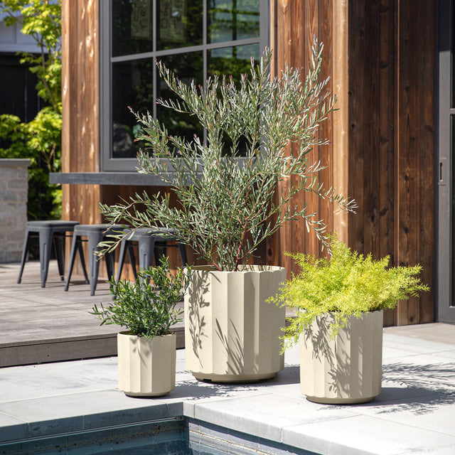 column planter trio