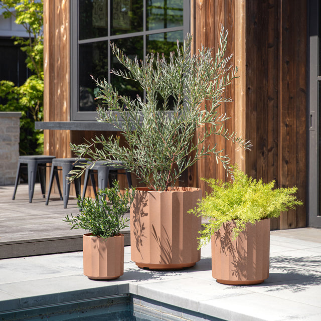column planter trio