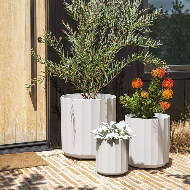 column planter trio