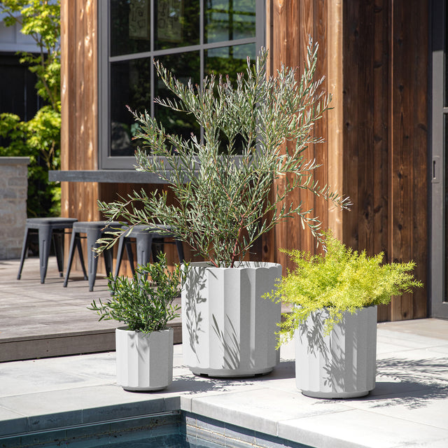 column planter trio