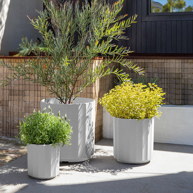 column planter trio