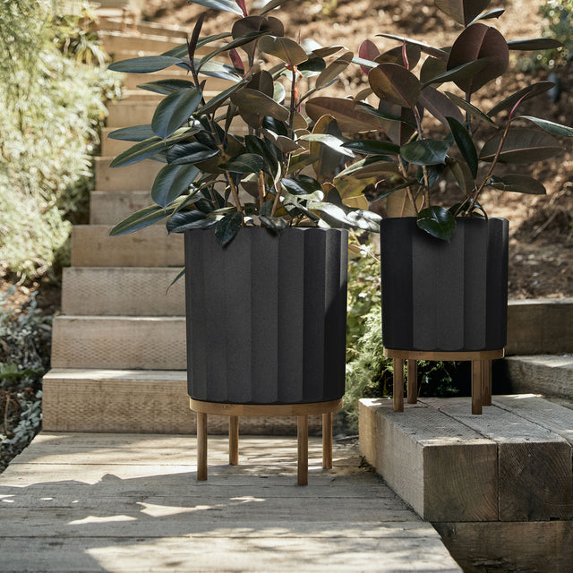 column raised duo