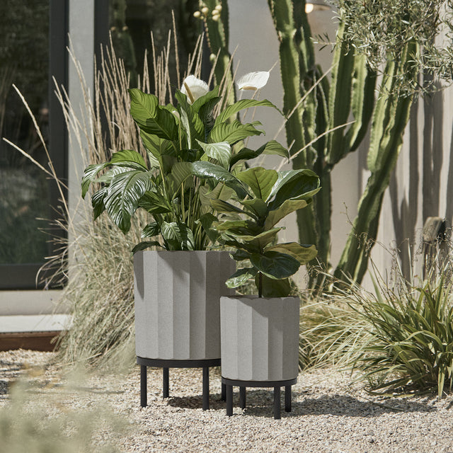 column raised duo