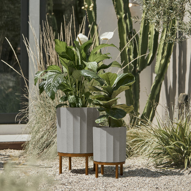 column raised duo