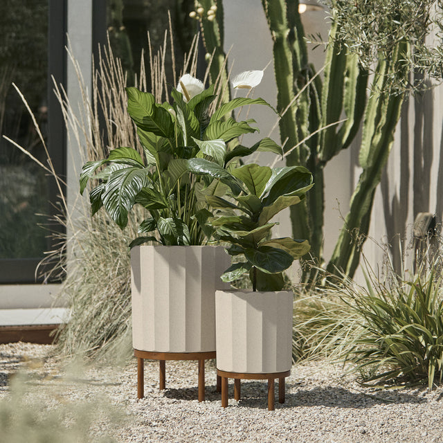 column raised duo