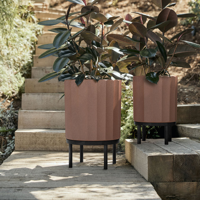 column raised duo
