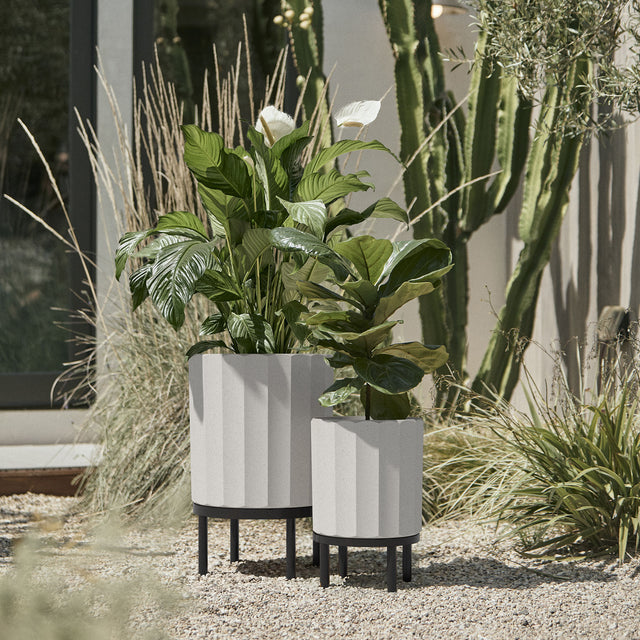 column raised duo