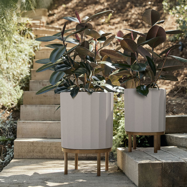 column raised duo
