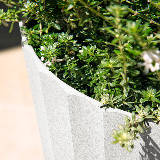 column tall planter