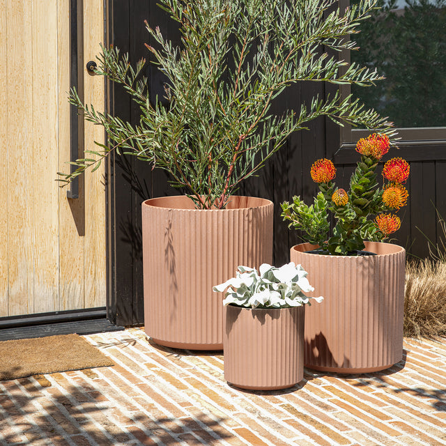 demi planter trio