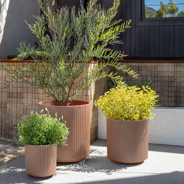 demi planter trio