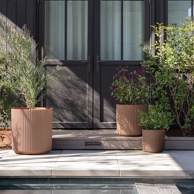 demi planter trio