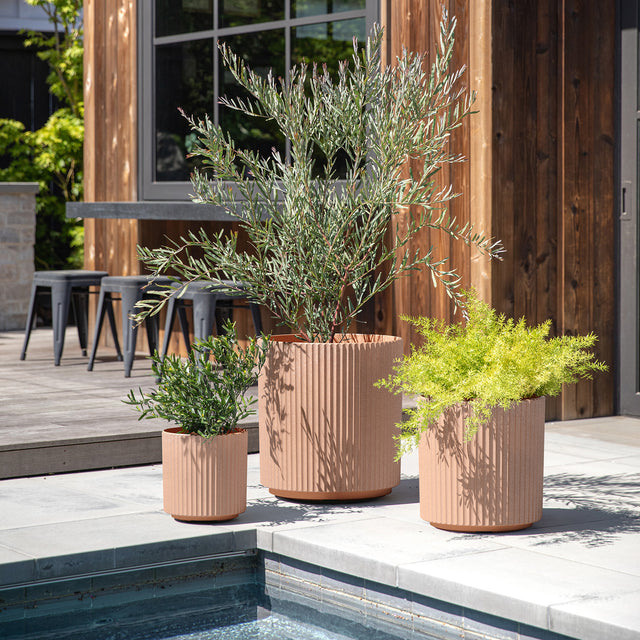 demi planter trio