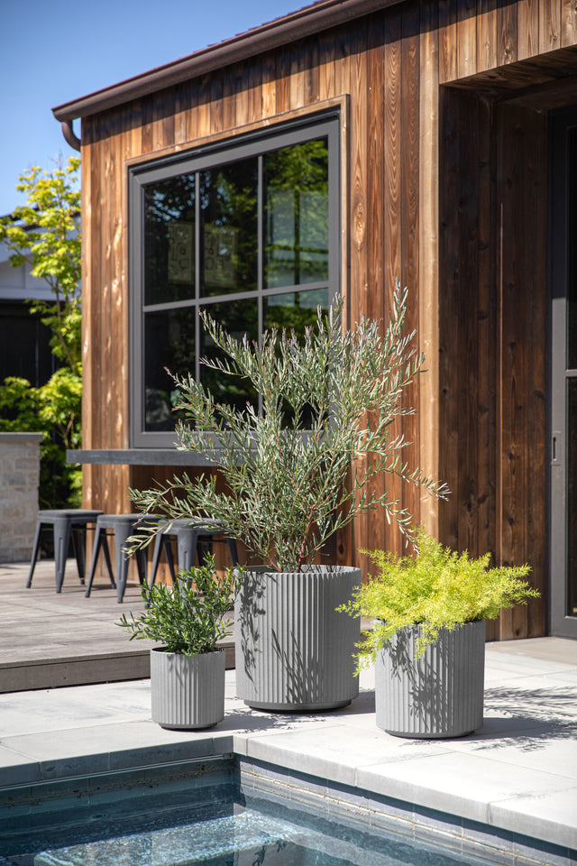 demi planter trio