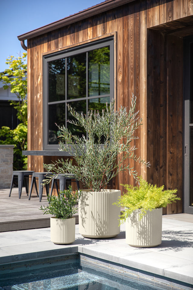 demi planter trio