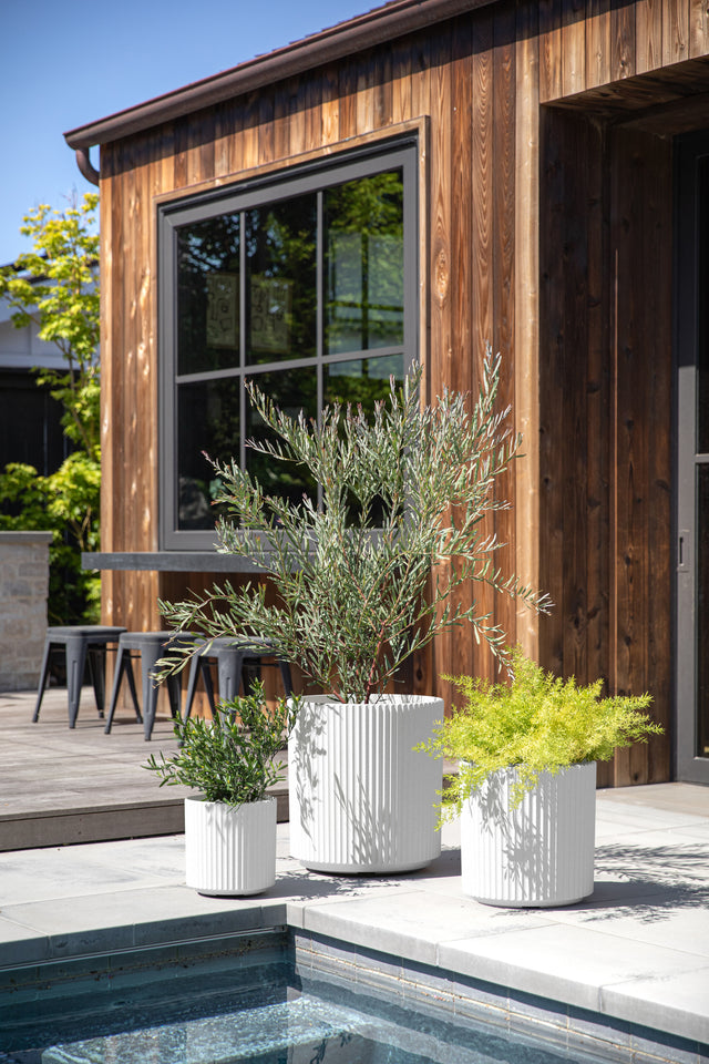 demi planter trio