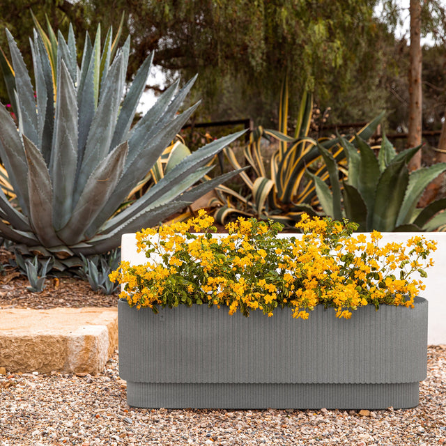 demi garden bed