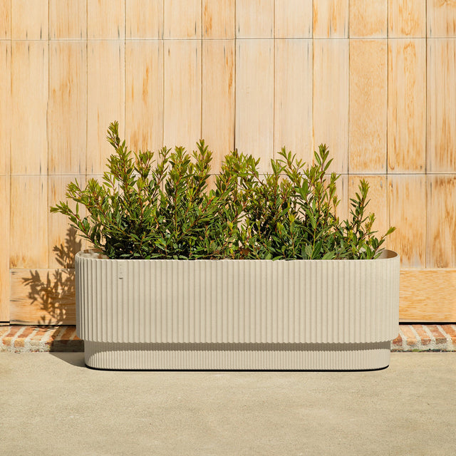 demi garden bed