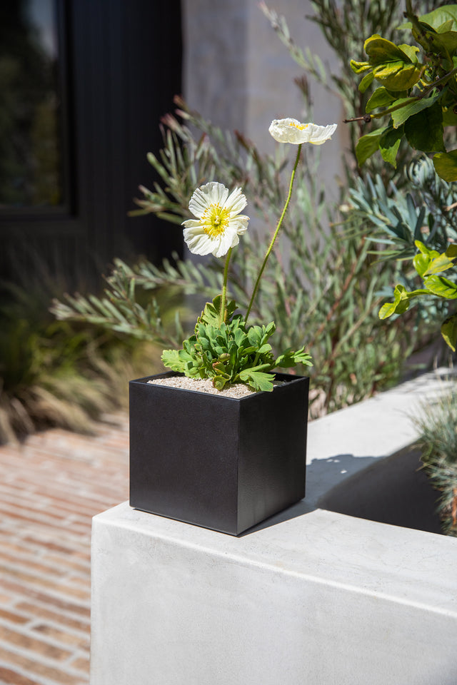 geo cube planter