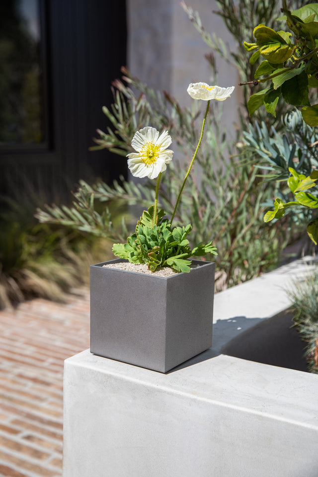 geo cube planter