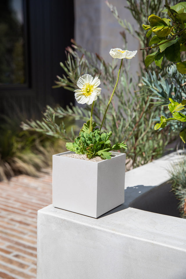 geo cube planter