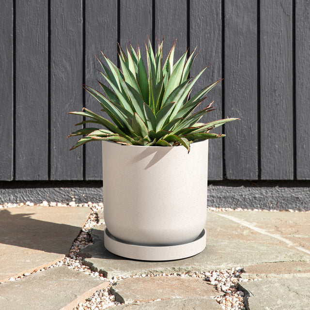 mason kona planter
