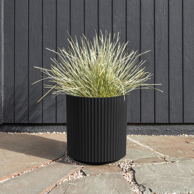 demi planter