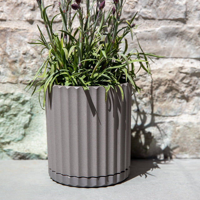 demi six planter