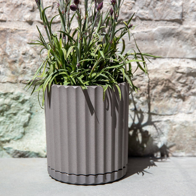 demi six planter