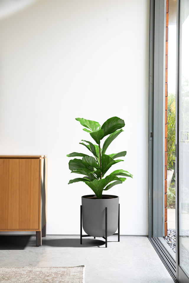 mason raised kona planter