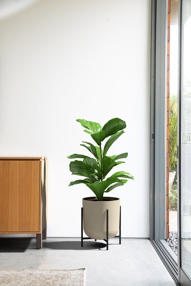 mason raised kona planter