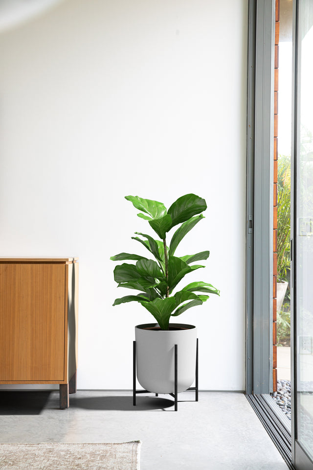 mason raised kona planter