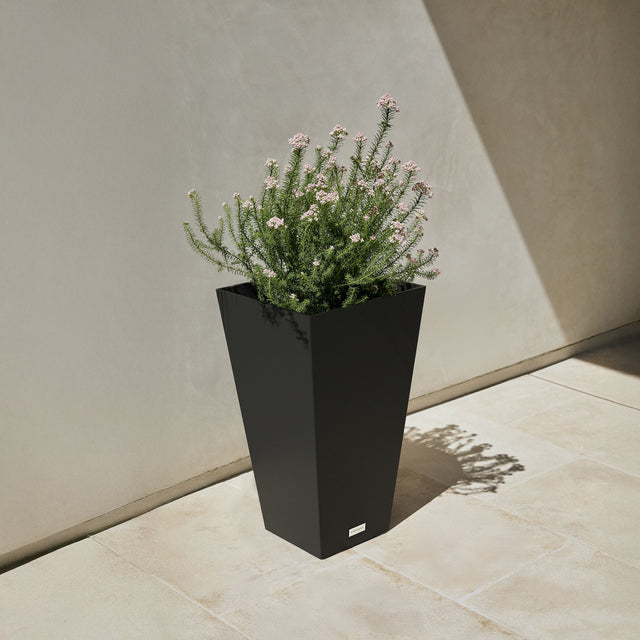 pure midland planter