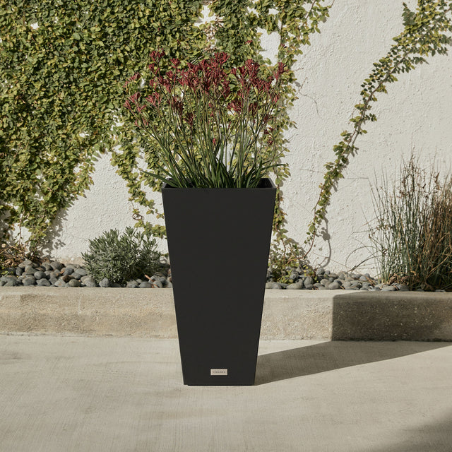 pure midland planter