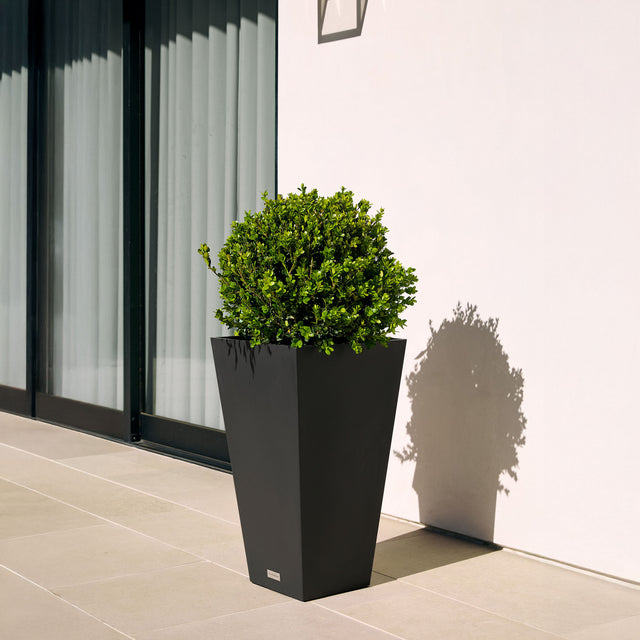 pure midland planter