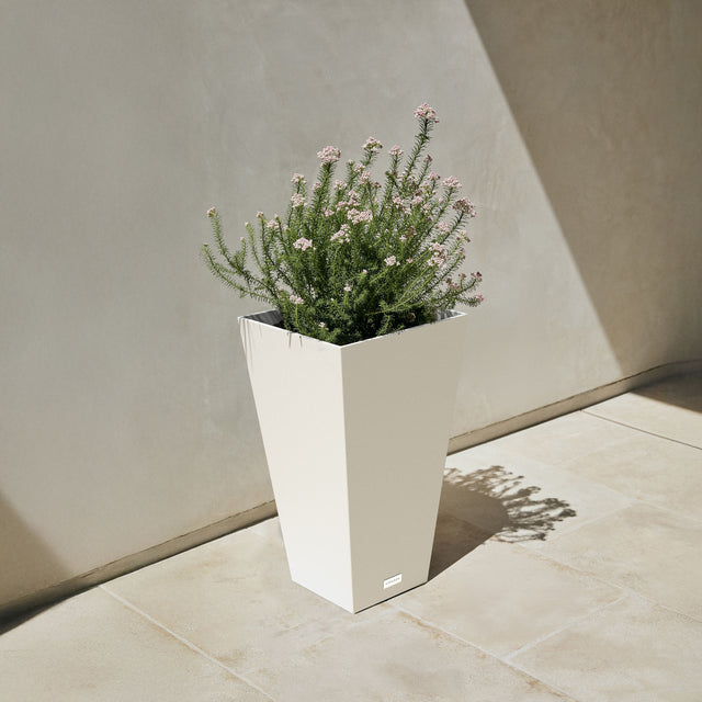 pure midland planter