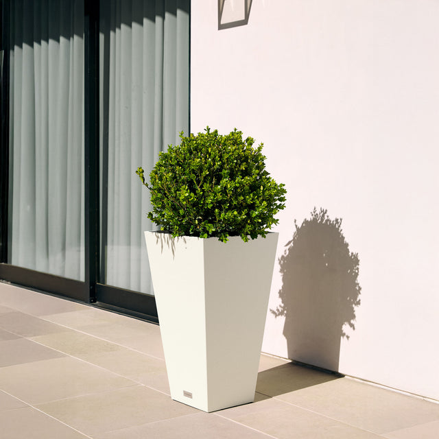pure midland planter