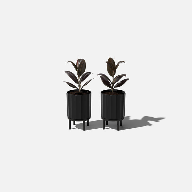 column raised planter
