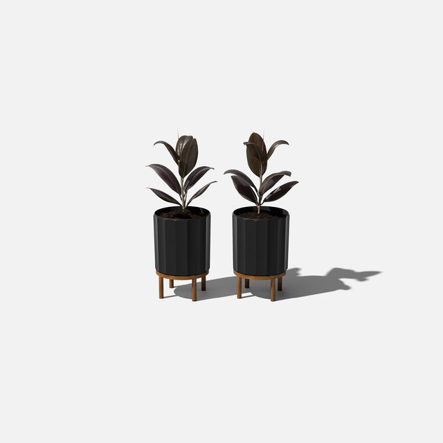 column raised planter