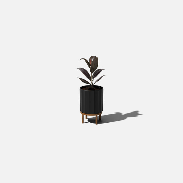 column raised planter