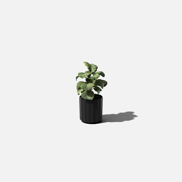 column planter