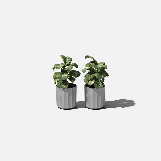 column planter