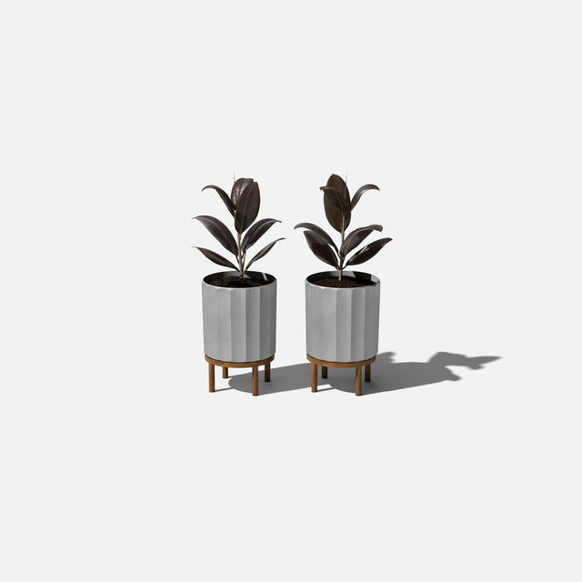 column raised planter