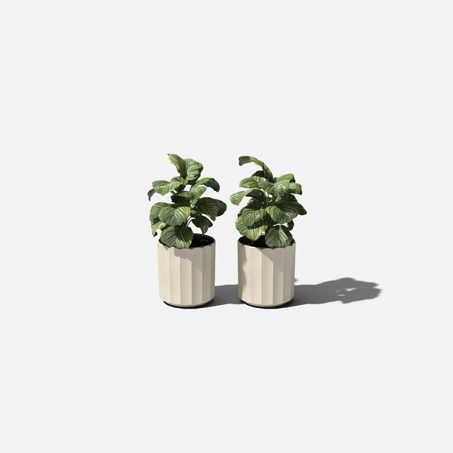 column planter