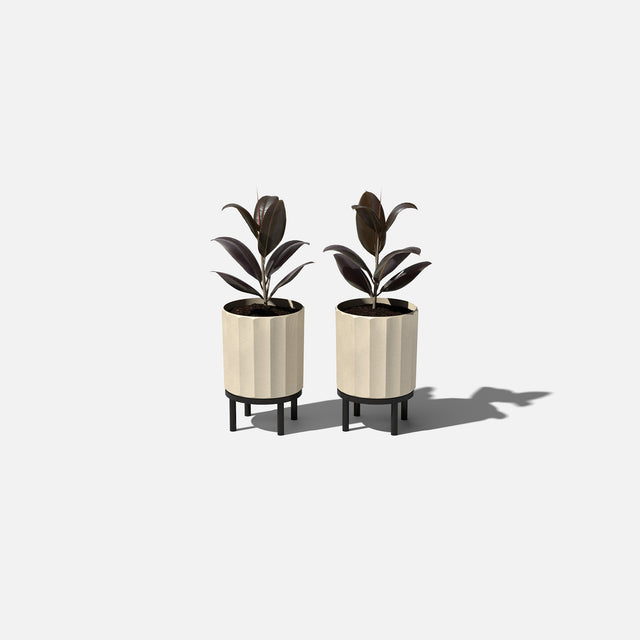 column raised planter