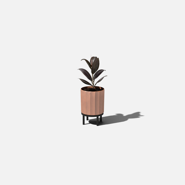 column raised planter