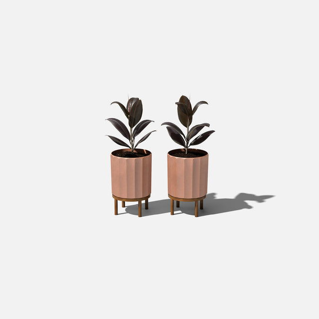 column raised planter