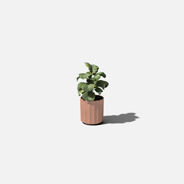column planter
